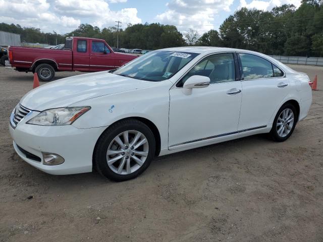 LEXUS ES 350 2010 jthbk1egxa2393573