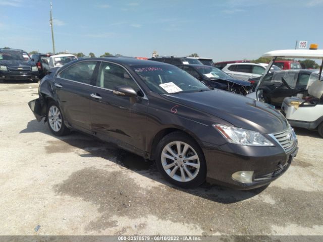 LEXUS ES 350 2010 jthbk1egxa2394383