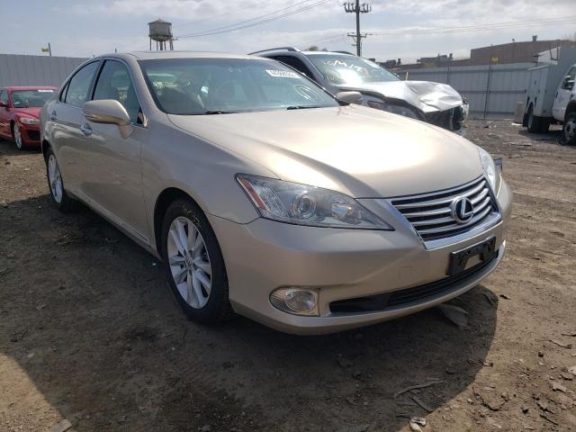 LEXUS ES 350 2010 jthbk1egxa2394898