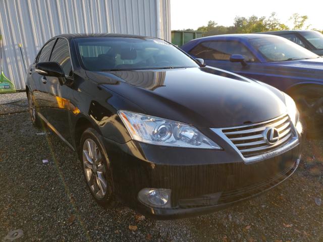 LEXUS ES 350 2010 jthbk1egxa2395971