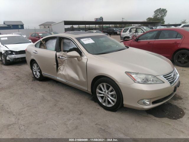 LEXUS ES 350 2010 jthbk1egxa2397624