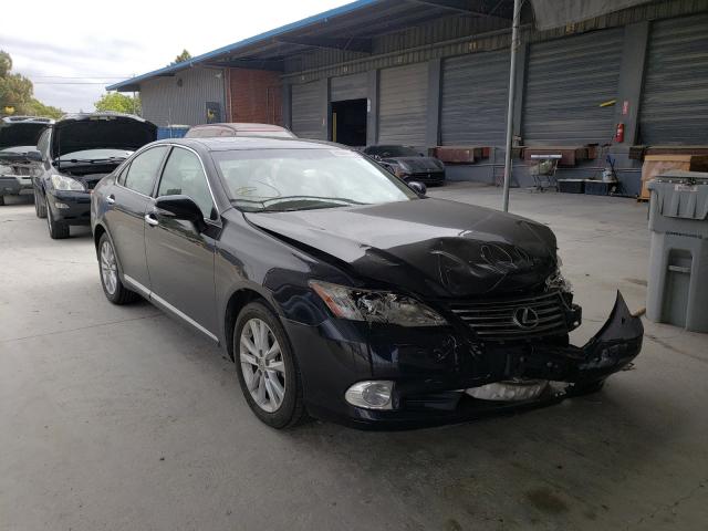 LEXUS ES 350 2010 jthbk1egxa2398174