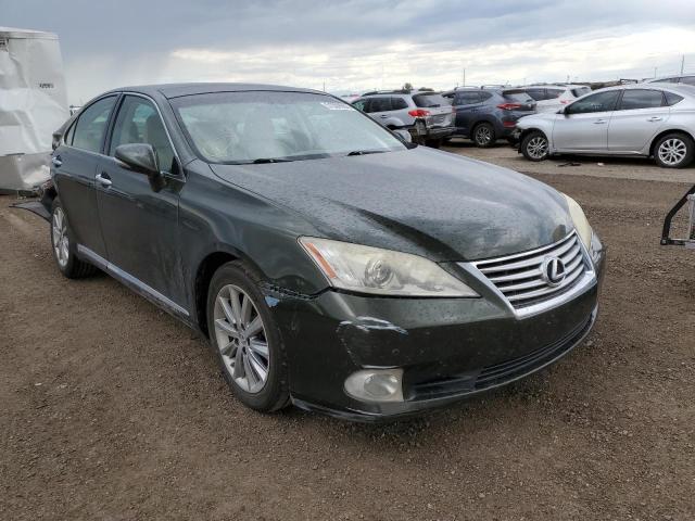 LEXUS ES 350 2010 jthbk1egxa2398532