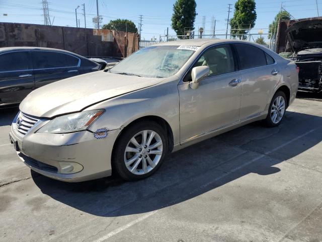 LEXUS ES 350 2010 jthbk1egxa2399910