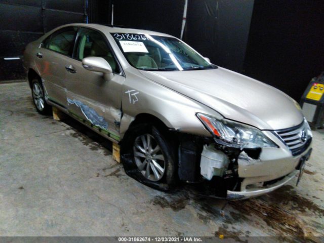 LEXUS ES 350 2010 jthbk1egxa2402532