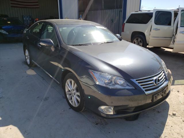 LEXUS ES 350 2010 jthbk1egxa2402921