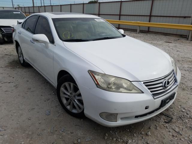 LEXUS ES 350 2010 jthbk1egxa2403535