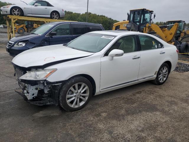 LEXUS ES 350 2010 jthbk1egxa2404913