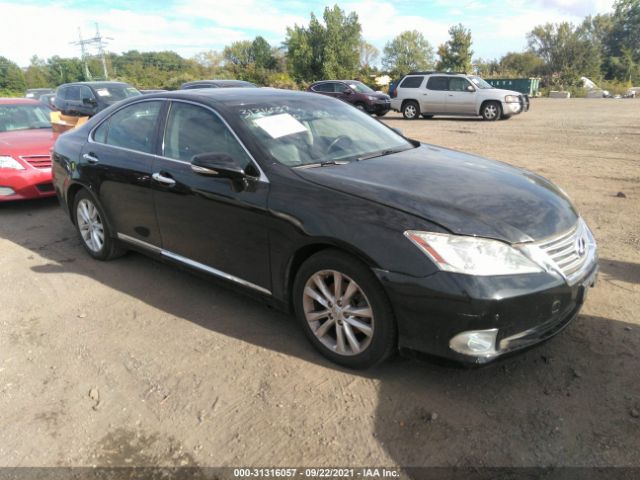 LEXUS ES 350 2010 jthbk1egxa2405205