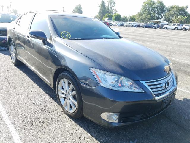 LEXUS ES 350 2010 jthbk1egxa2407021