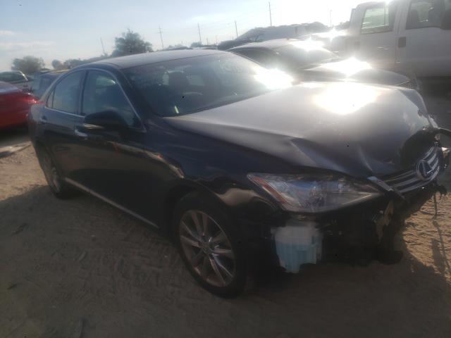 LEXUS ES 350 2010 jthbk1egxa2407861