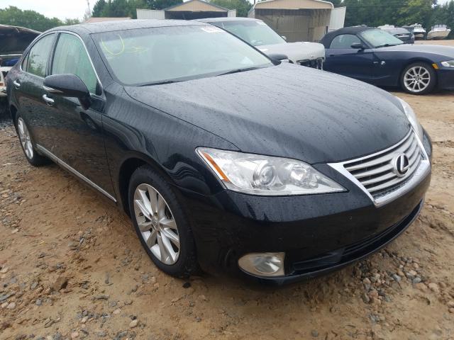 LEXUS ES 350 2010 jthbk1egxa2408119