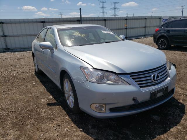 LEXUS ES 350 2010 jthbk1egxa2408606