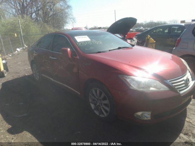 LEXUS ES 350 2010 jthbk1egxa2410498