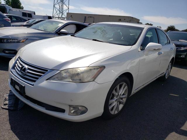 LEXUS ES 350 2010 jthbk1egxa2411862