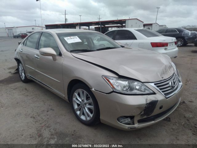 LEXUS ES 350 2010 jthbk1egxa2414373