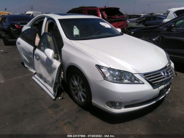 LEXUS ES 350 2011 jthbk1egxb2423978