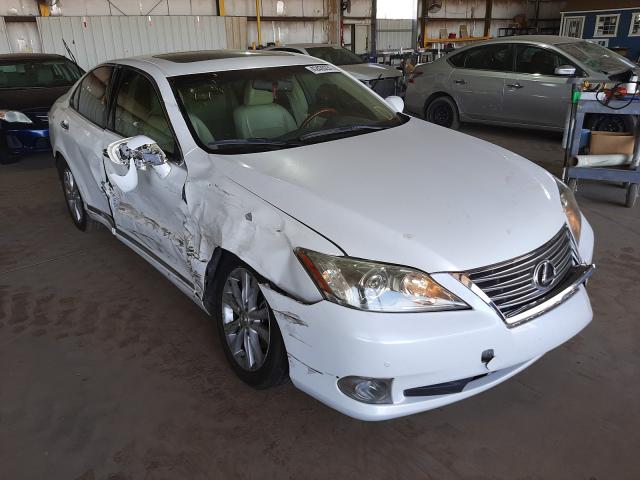 LEXUS ES 350 2011 jthbk1egxb2430509