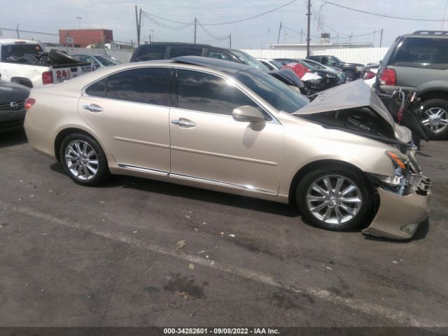 LEXUS ES 350 2011 jthbk1egxb2443342