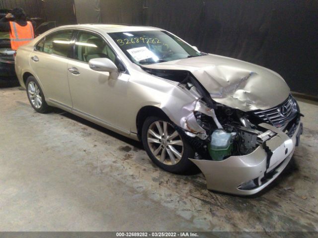 LEXUS ES 350 2011 jthbk1egxb2448203