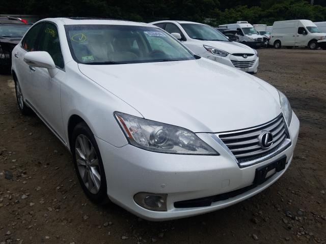 LEXUS ES 350 2011 jthbk1egxb2463476