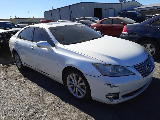 LEXUS ES 350 2011 jthbk1egxb2464997