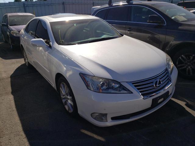 LEXUS ES 350 2011 jthbk1egxb2466183