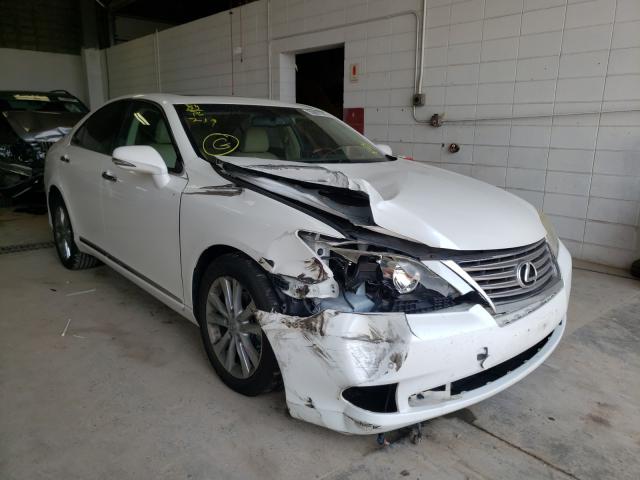 LEXUS ES 350 2011 jthbk1egxb2469357