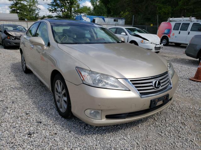 LEXUS ES 350 2012 jthbk1egxc2509938