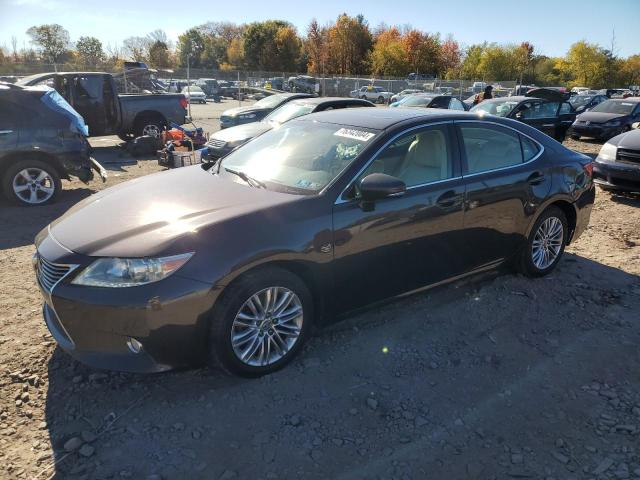 LEXUS ES 350 2013 jthbk1gg9d2010160