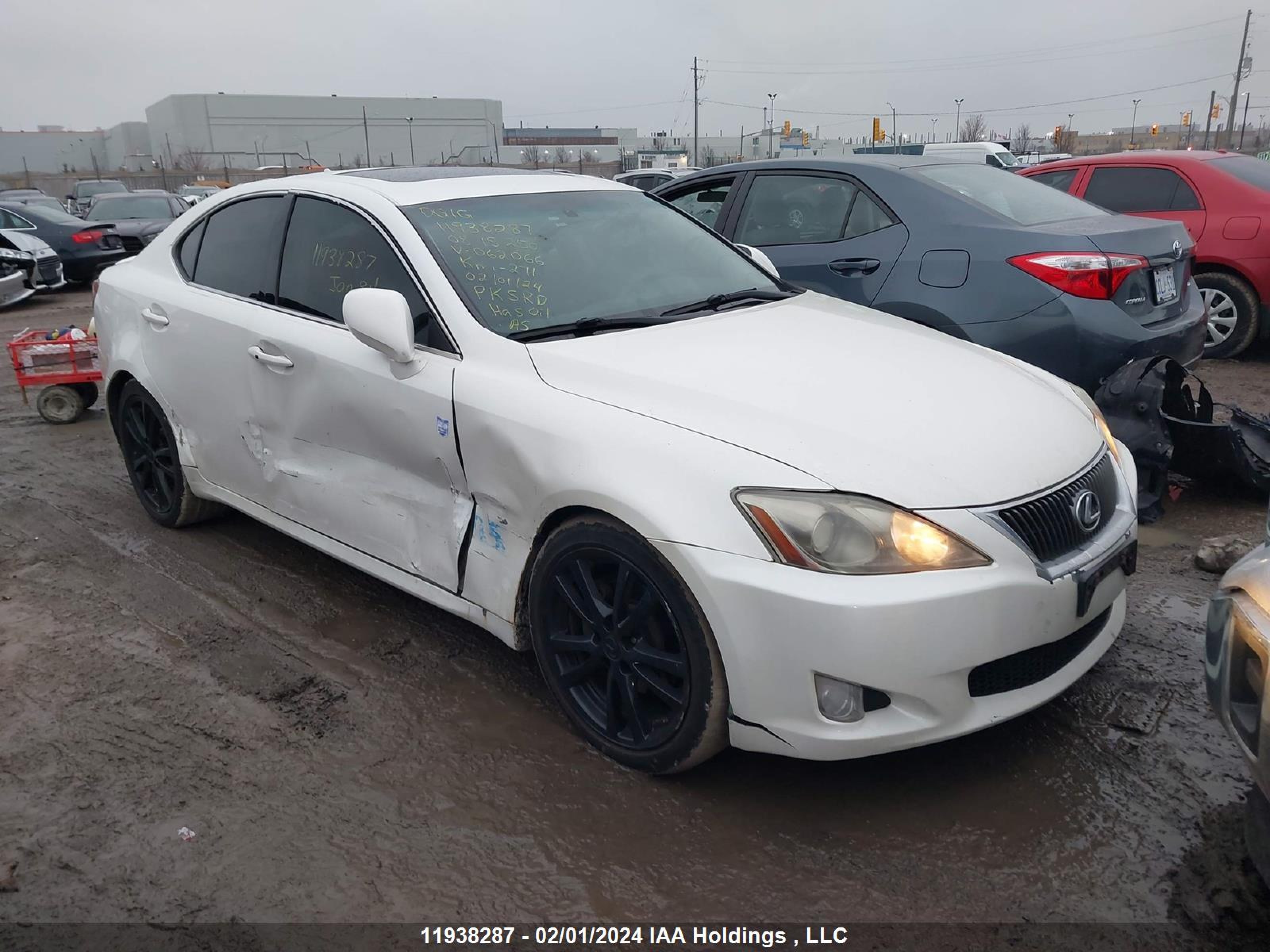 LEXUS IS 2008 jthbk262082062066