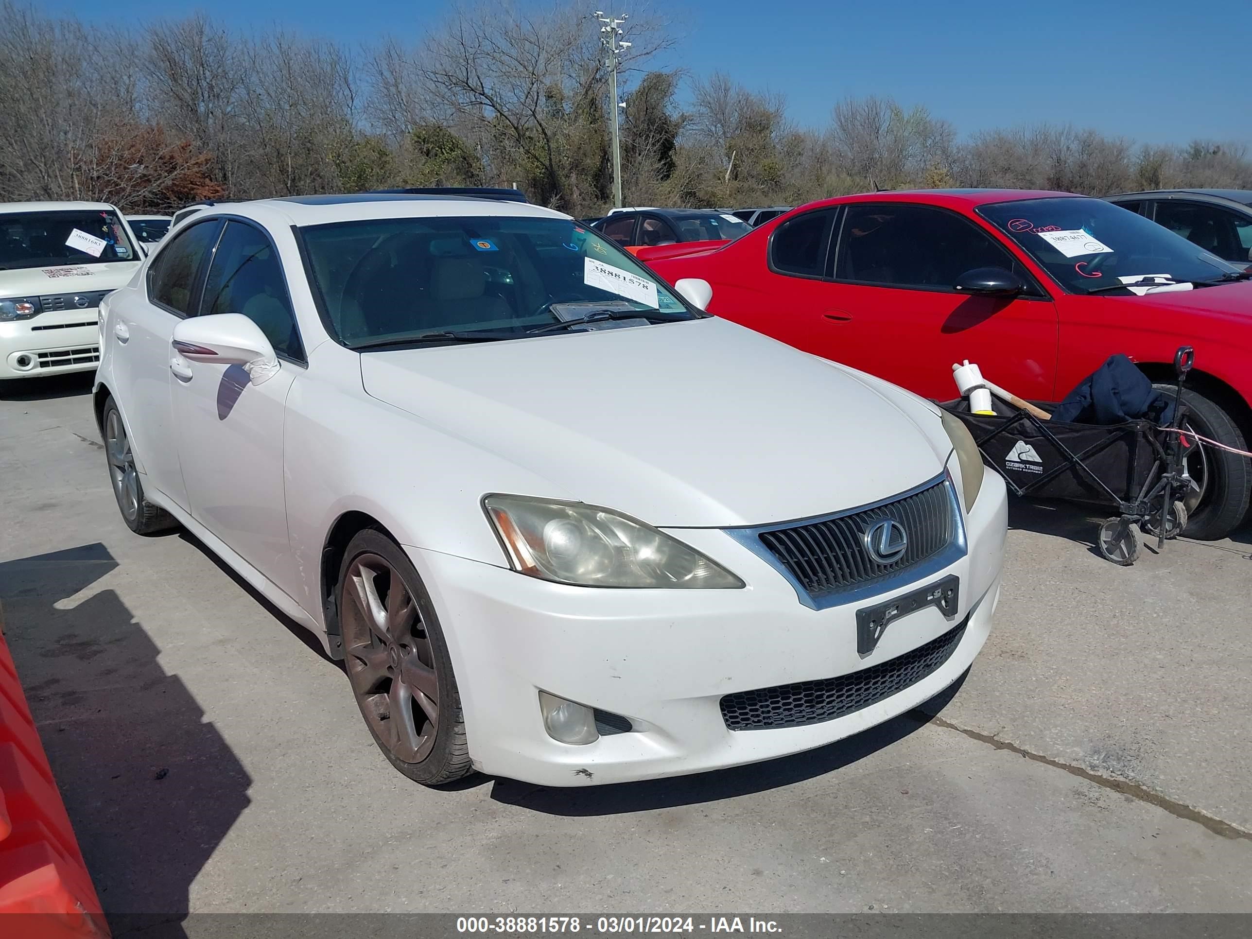 LEXUS IS 2009 jthbk262095088313