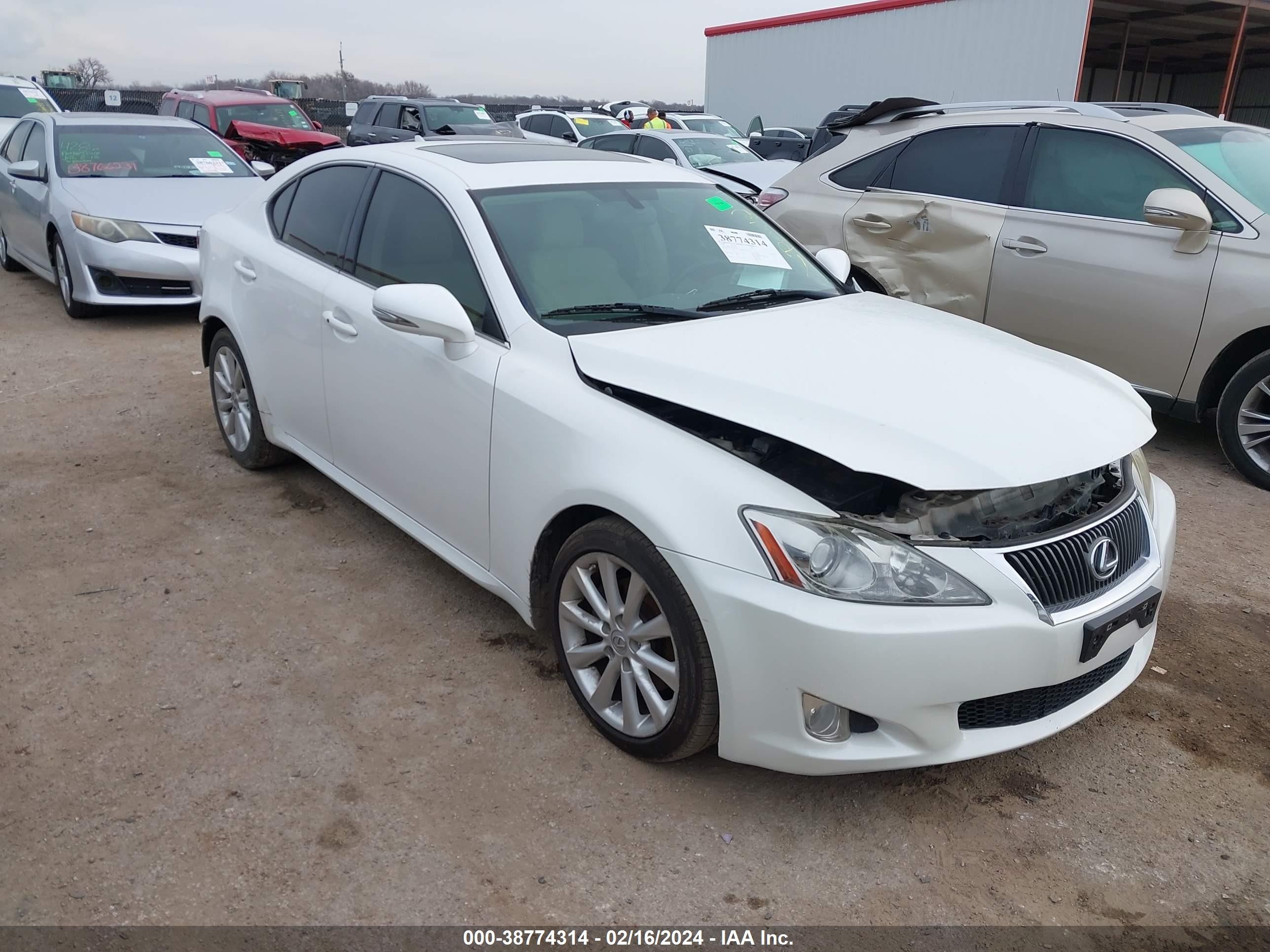 LEXUS IS 2009 jthbk262295093612