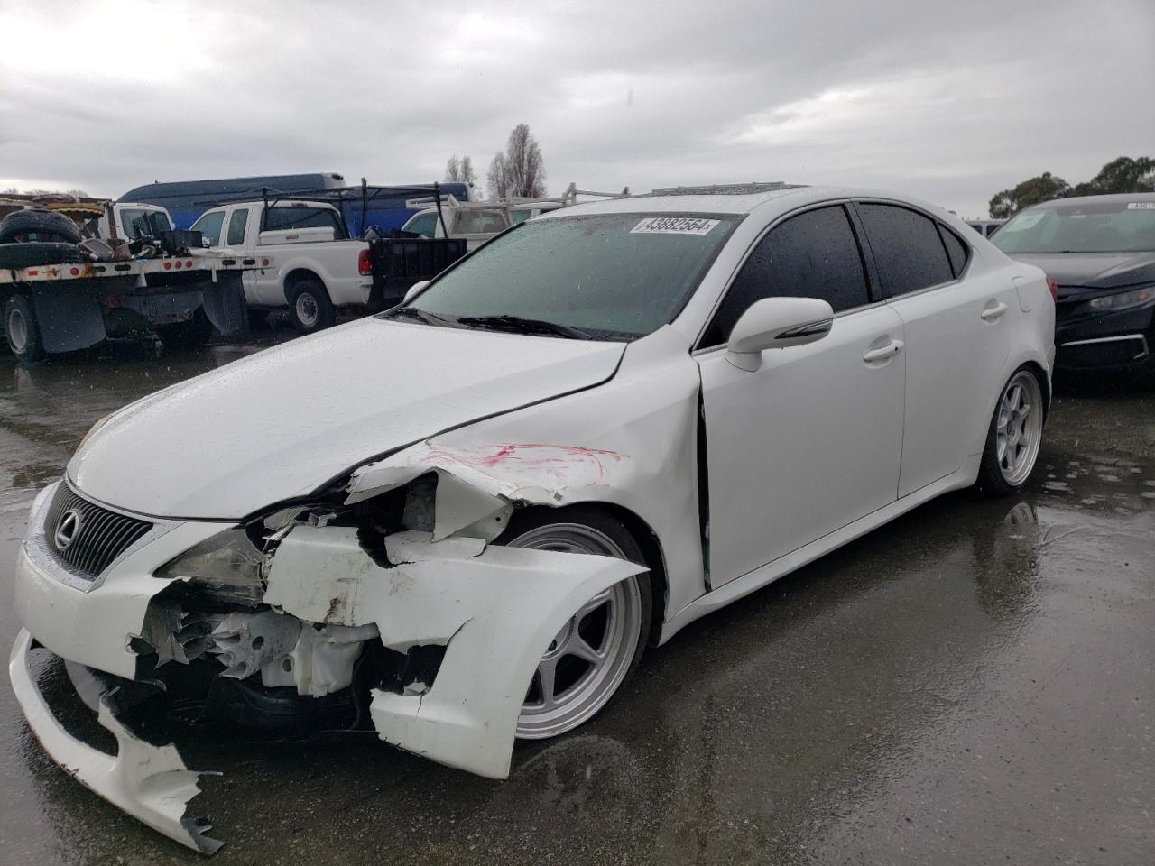 LEXUS IS 2009 jthbk262295103460