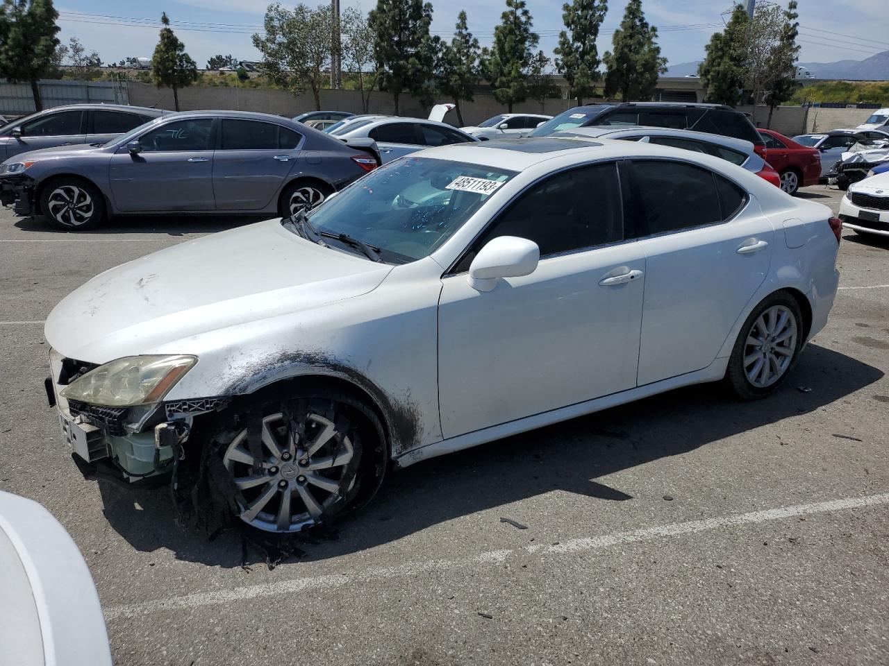 LEXUS IS 2008 jthbk262385083900