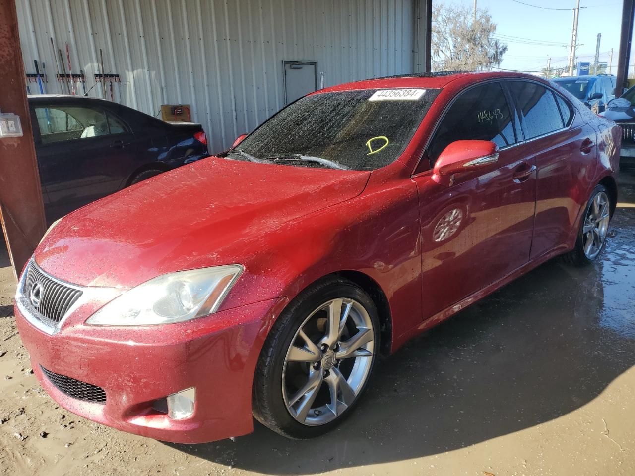 LEXUS IS 2009 jthbk262595104666