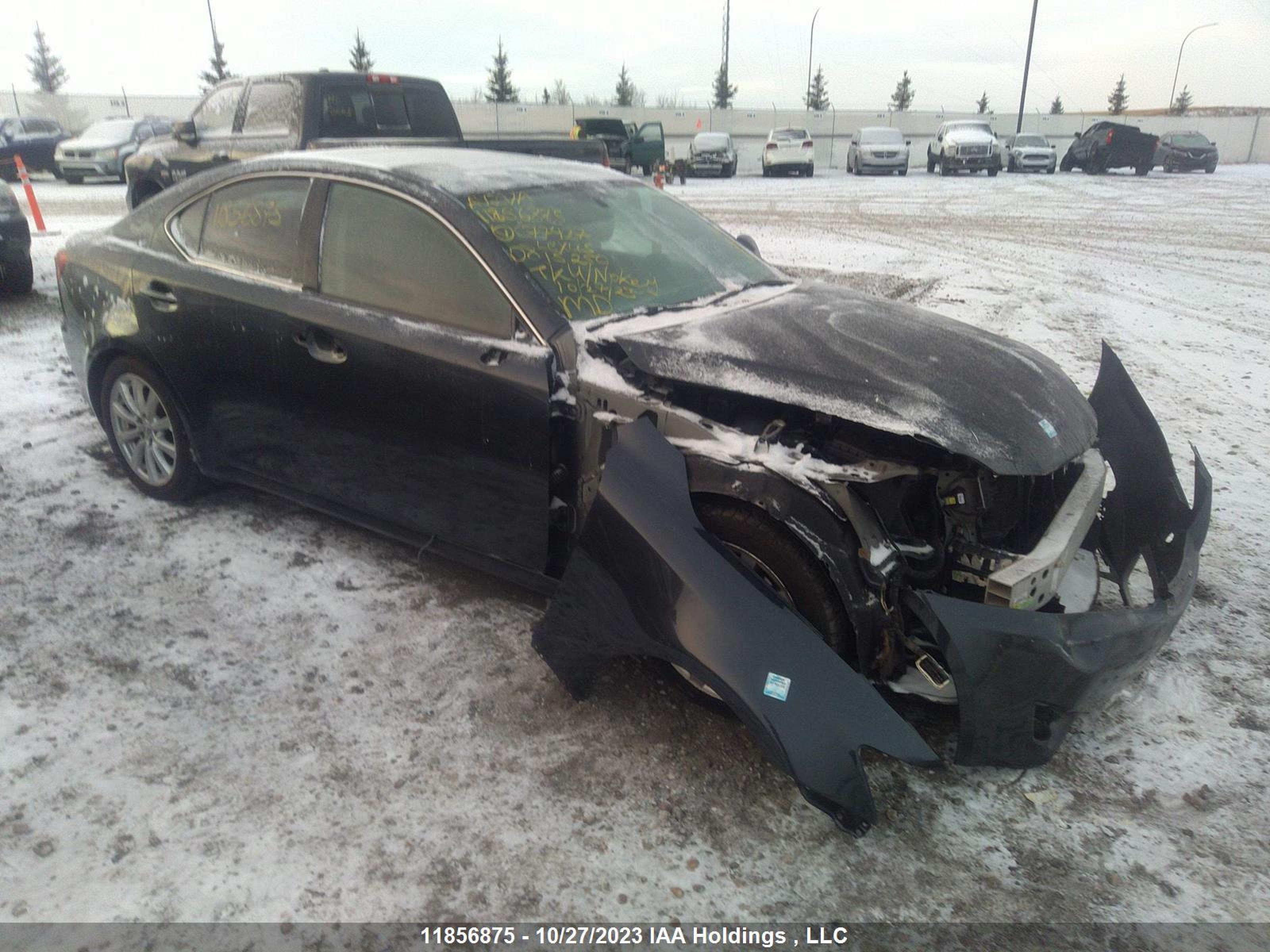 LEXUS IS 2008 jthbk262685077427