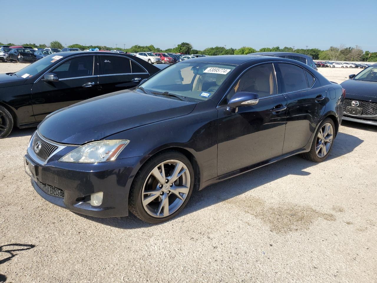 LEXUS IS 2009 jthbk262695096139