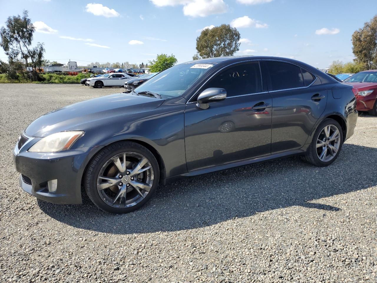 LEXUS IS 2009 jthbk262895091265