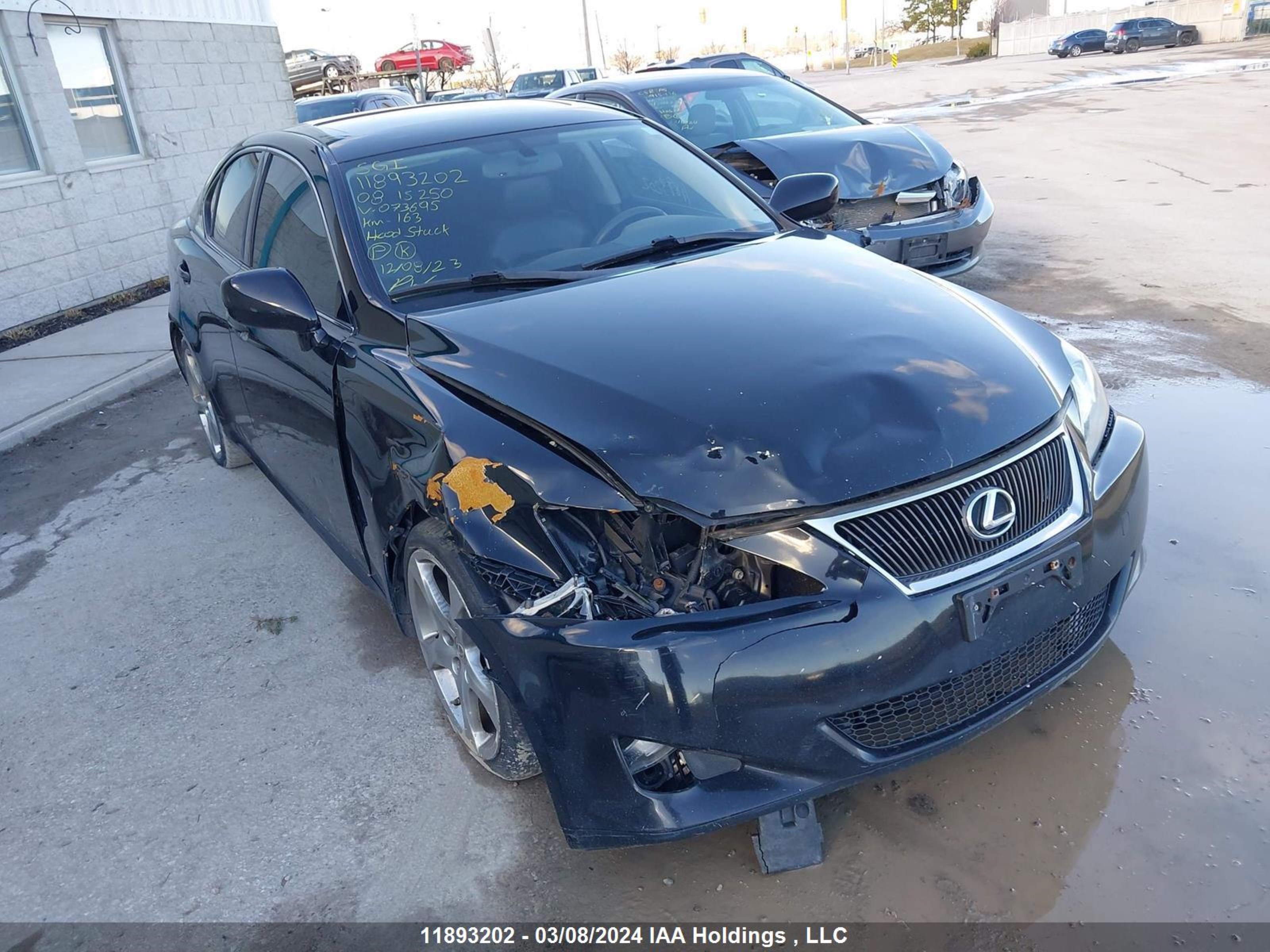 LEXUS IS 2008 jthbk262982073695