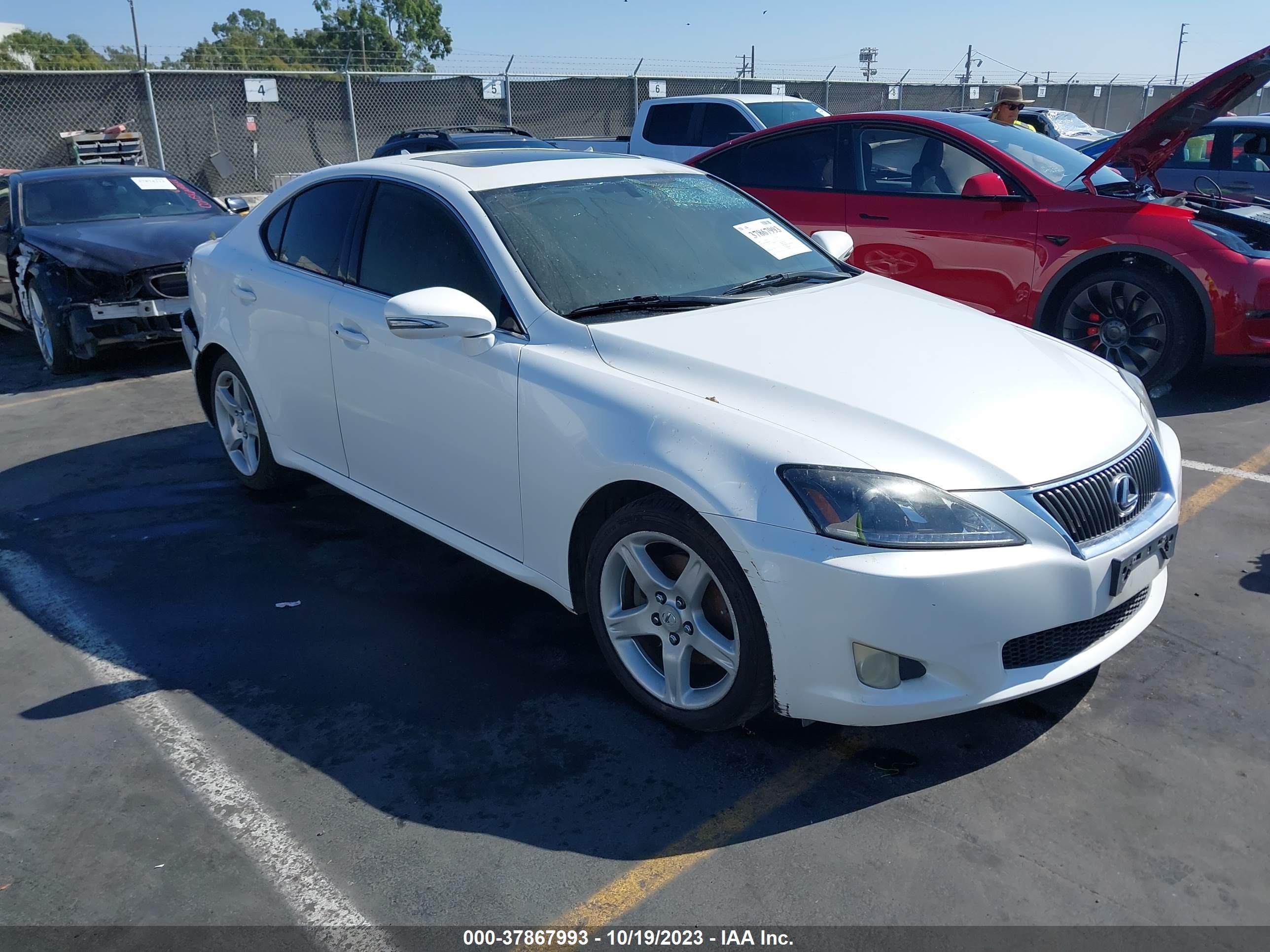 LEXUS IS 2009 jthbk262992087632