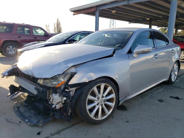 LEXUS IS 2009 jthbk262995102984