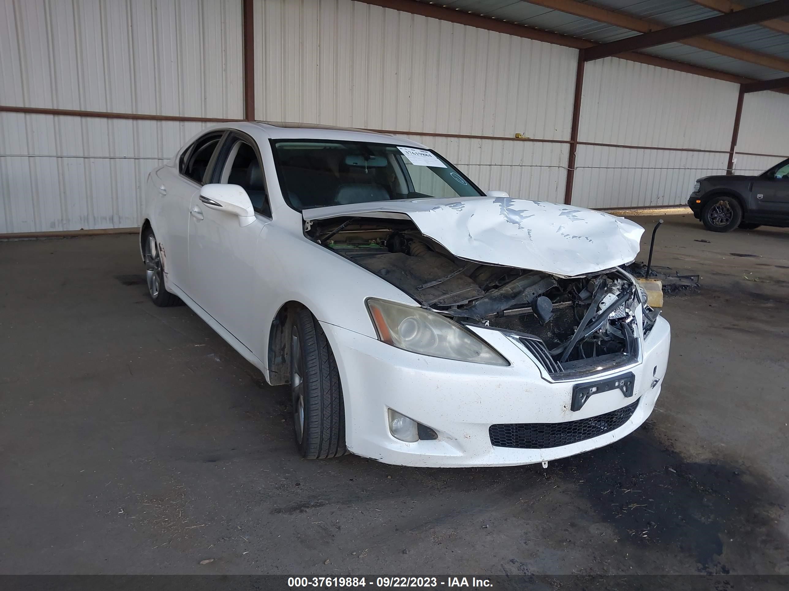 LEXUS IS 2009 jthbk262x95104551