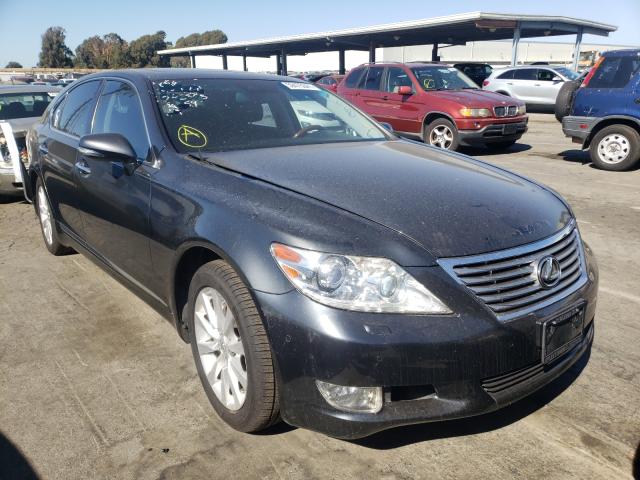 LEXUS LS 460 2010 jthbl1ef1a5098218