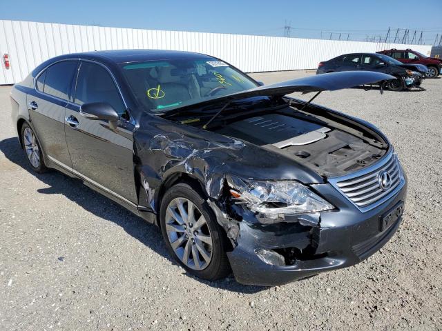 LEXUS LS 460 2010 jthbl1ef9a5098306