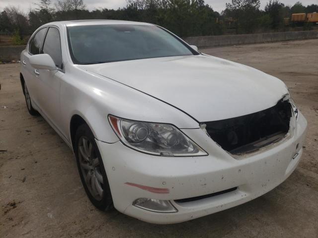 LEXUS LS 460 2009 jthbl46f095088341