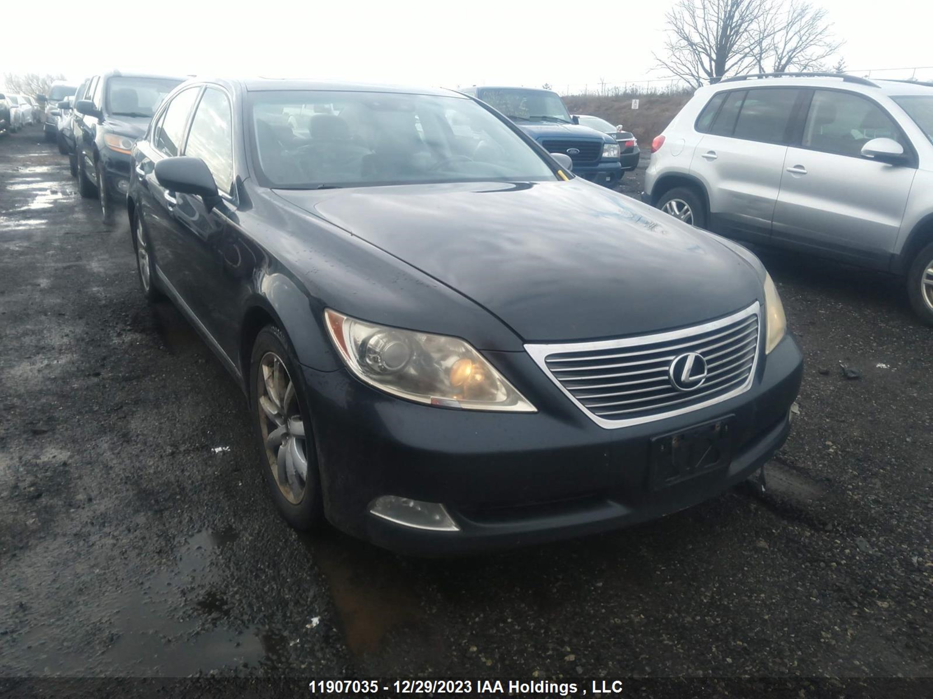 LEXUS LS 2008 jthbl46f185054097