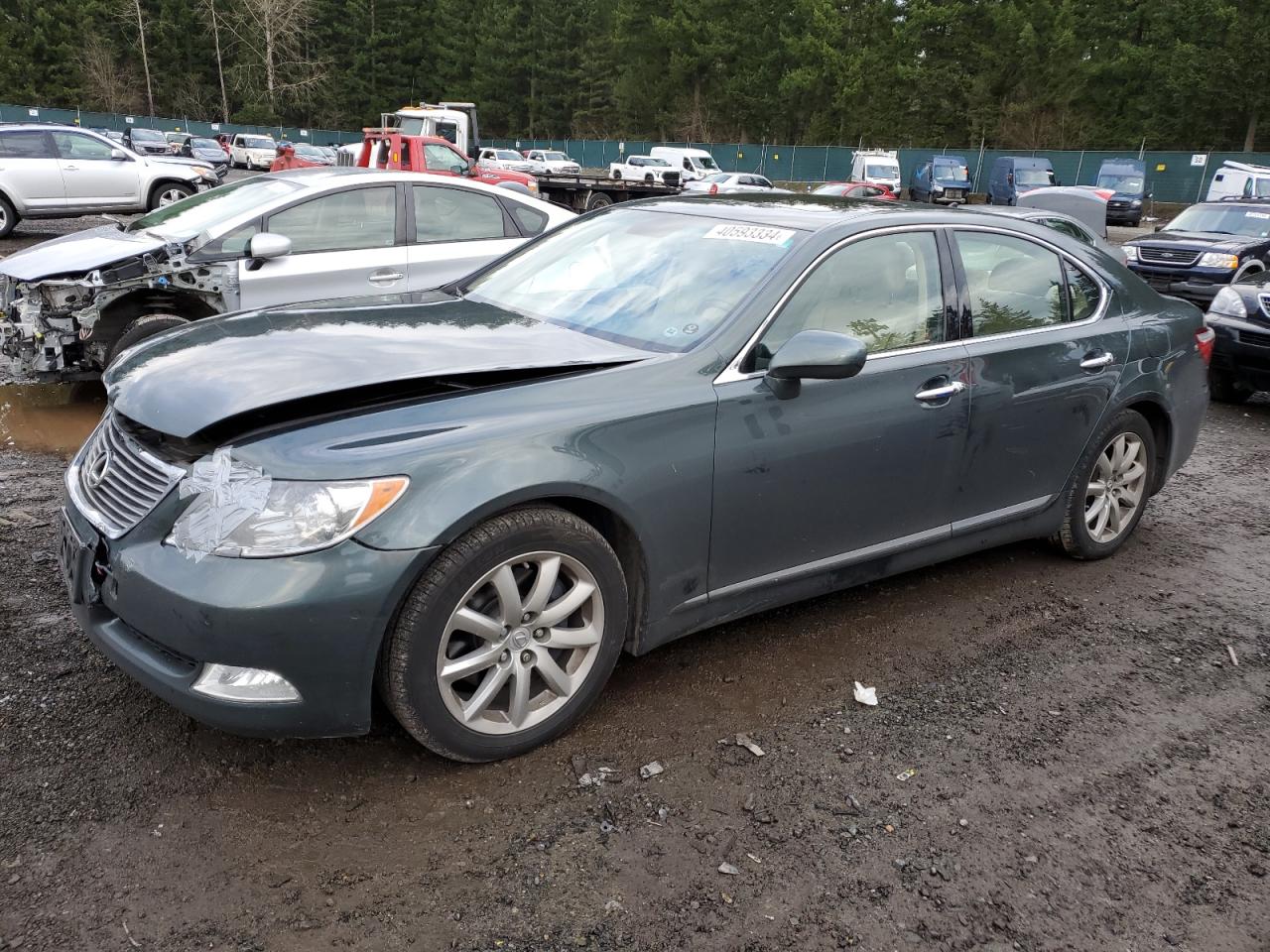 LEXUS LS 2008 jthbl46f185063141