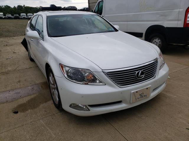 LEXUS LS 460 2008 jthbl46f185070283