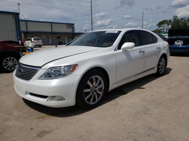 LEXUS LS 460 2008 jthbl46f385077381